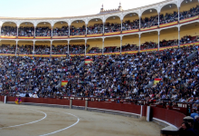 为什么香港站群服务器备受青睐？-鱼云