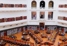 美国服务器空间究竟有何独特之处,使其成为众多企业的首选?-鱼云