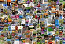 美国免费提供的虚拟服务器真的值得使用吗?-鱼云