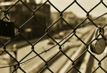 如何高效地管理和维护一个大型数据库系统？-鱼云