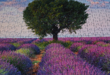 如何优化云主机桌面性能以解决卡顿问题？-鱼云