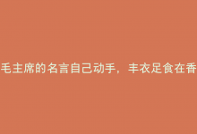 毛主席的名言自己动手，丰衣足食在香港全能服务器上如何得到完美体现？