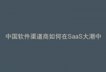 中国软件渠道商如何在SaaS大潮中与行业巨头并肩而立，默默积累财富？