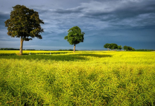 负载均衡的基本逻辑是什么？-鱼云