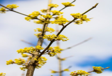 负载均衡框架有哪些种类？-鱼云