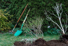 负载均衡有哪些常用的算法？-鱼云